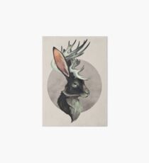 Jackalope Galeriedruck