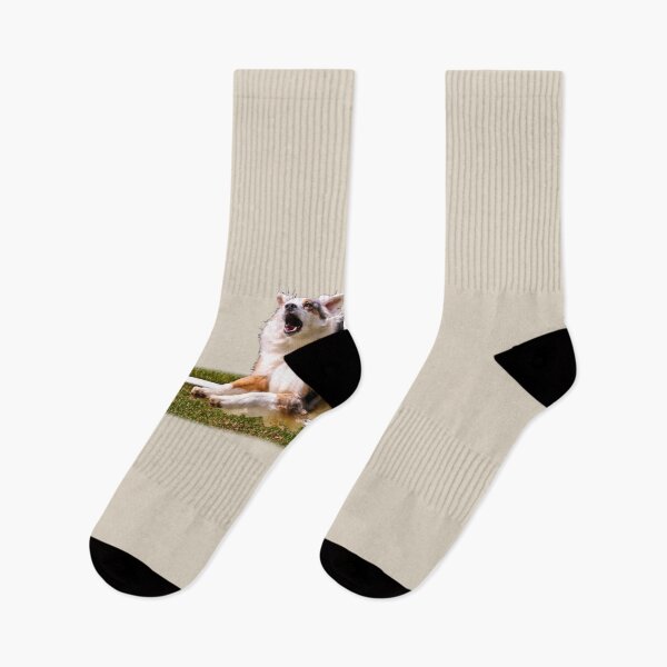 Item preview, Super sheep dog, Australian Shepherd designed and sold by indiafrankk.