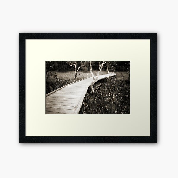 Mangrove boardwalk Framed Art Print