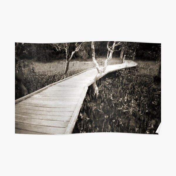 Mangrove boardwalk Poster
