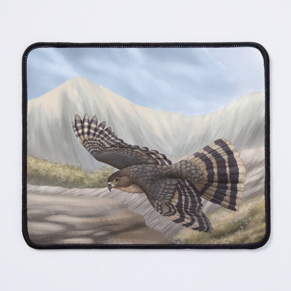 Item preview, Cooper’s hawk  designed and sold by DragonArtist15.