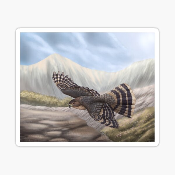 Item preview, Cooper’s hawk  designed and sold by DragonArtist15.