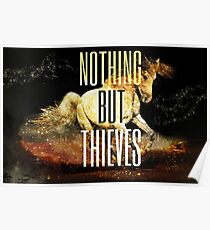 Nothing But Thieves Poster