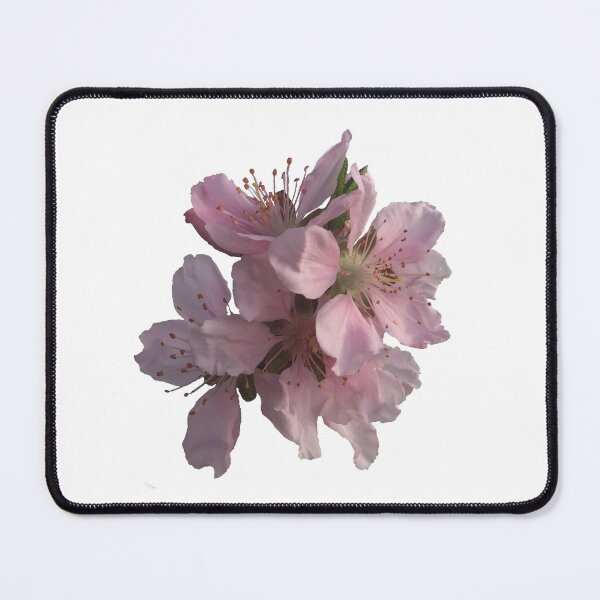 Item preview, Peach Blossoms designed and sold by rowena-ravens.