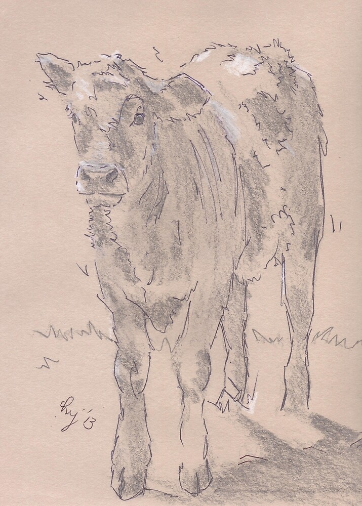 "Calf Drawing" by MikeJory | Redbubble