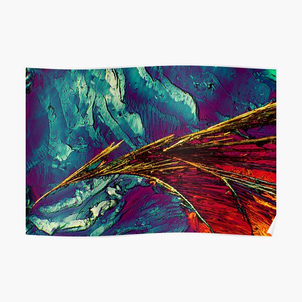 Beta Alanine Taurine Pterodactyl Poster