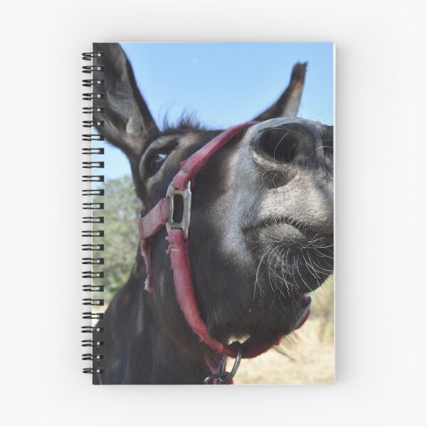 Item preview, Hee-Haw! designed and sold by Mike Paget.