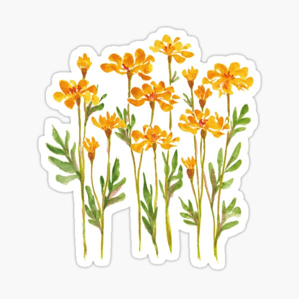 Item preview, Flores de caléndula dorada designed and sold by JRoseDesign.