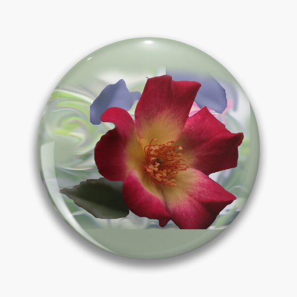 Item preview, Single red rose designed and sold by indiafrankk.