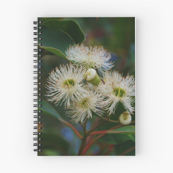 Item preview, Eucalypt At Kings Park designed and sold by lezvee.