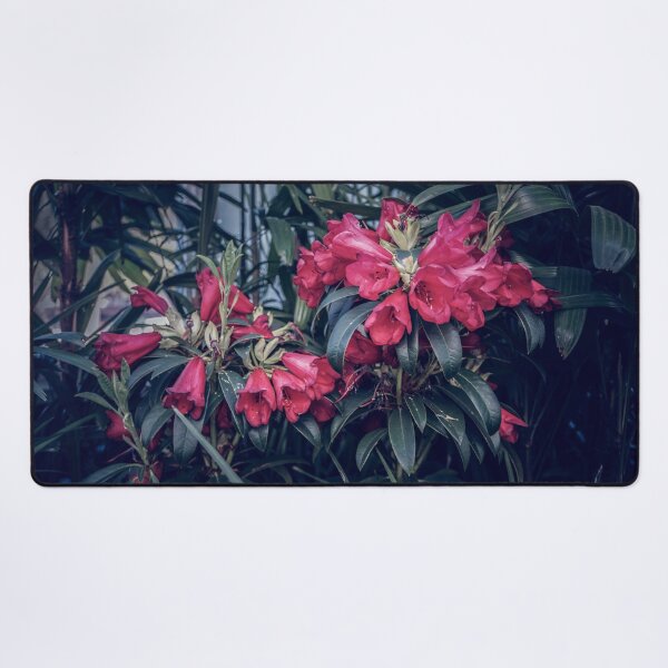 Item preview, Wow What Are Those Flowers? designed and sold by Steven Jodoin.