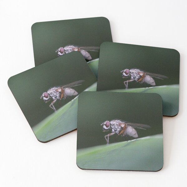 Item preview, Not a Pretty Guy, this White Fly designed and sold by cuprum.
