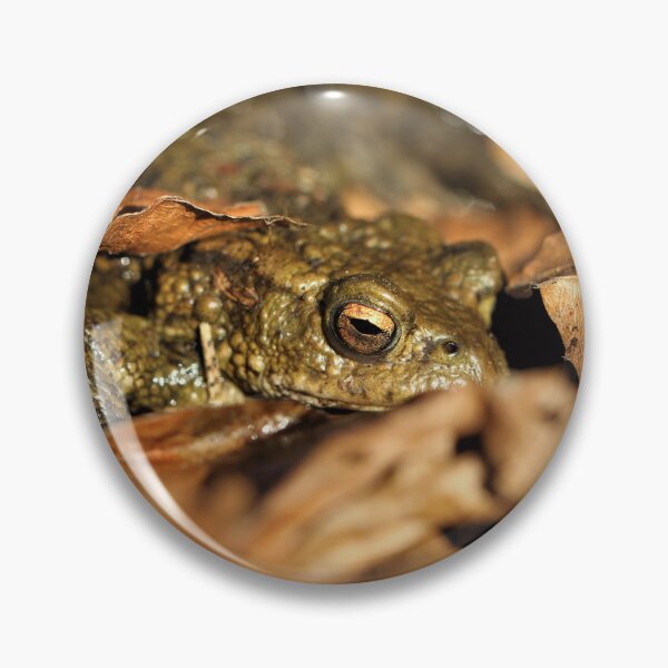 Item preview, Common Toad designed and sold by Christian Moss.