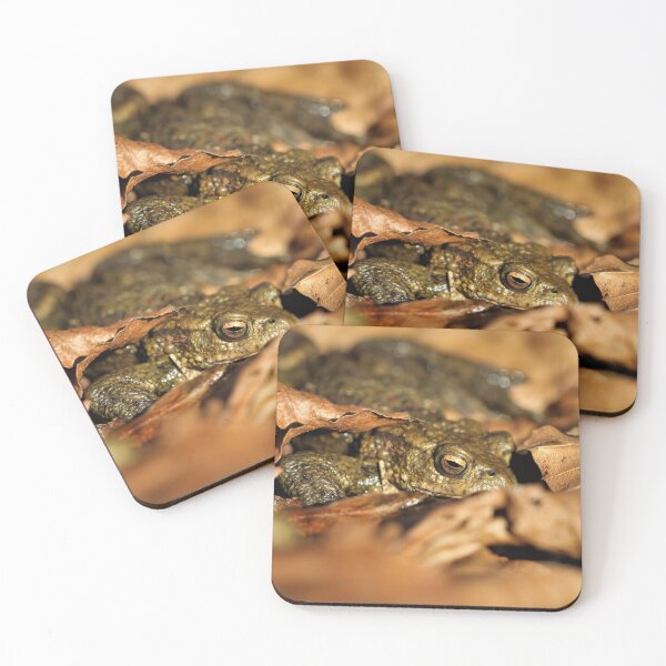 Item preview, Common Toad designed and sold by Christian Moss.