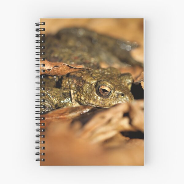 Item preview, Common Toad designed and sold by Christian Moss.