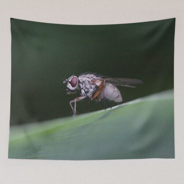 Item preview, Not a Pretty Guy, this White Fly designed and sold by cuprum.