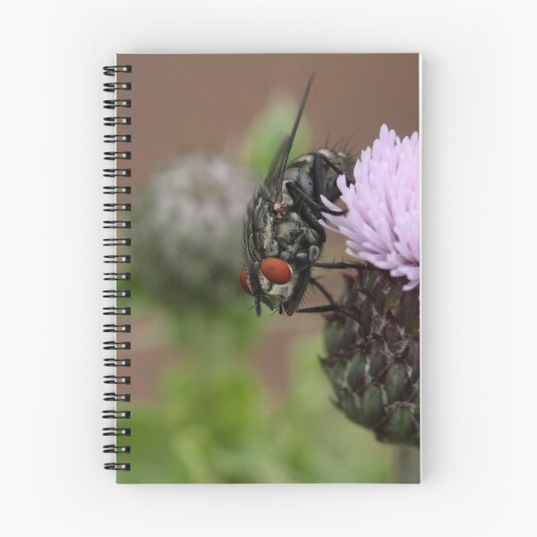 Item preview, Flesh Fly designed and sold by cuprum.