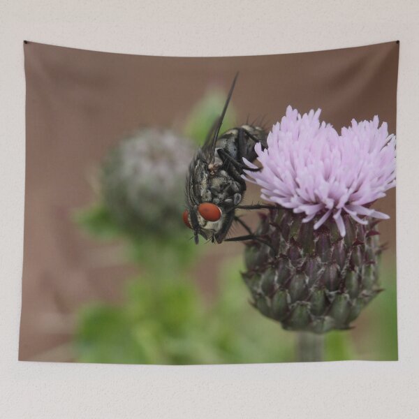 Item preview, Flesh Fly designed and sold by cuprum.