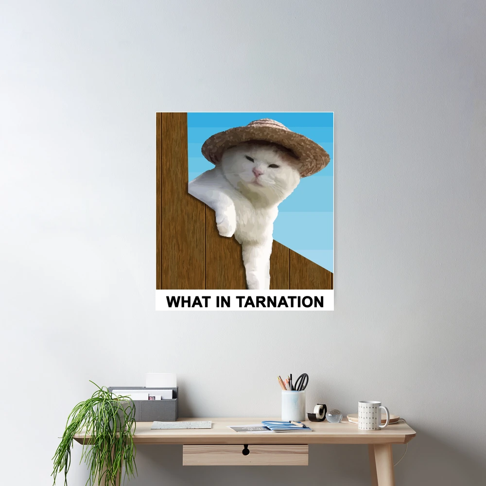 What in Tarnation