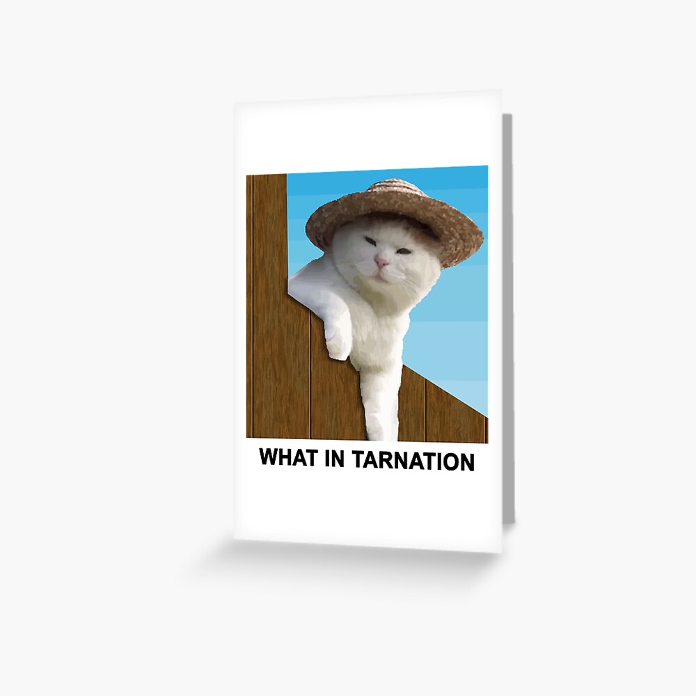 What in Tarnation