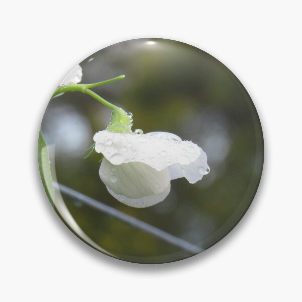 Item preview, White pea flowers designed and sold by greentiger1.