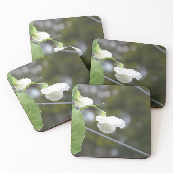 Item preview, White pea flowers designed and sold by greentiger1.