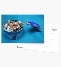 Mail art = Tuna Box, Tuna Book ! Postcards