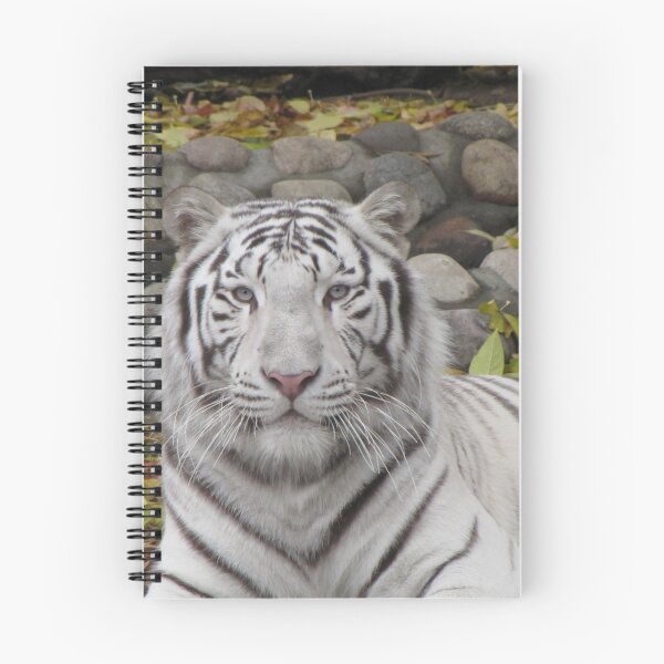 Item preview, white tiger designed and sold by designer437.