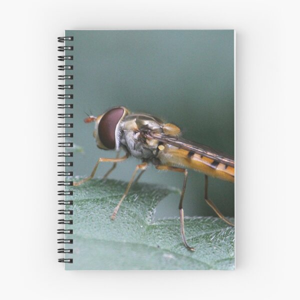 Item preview, The cutest little hoverfly designed and sold by cuprum.