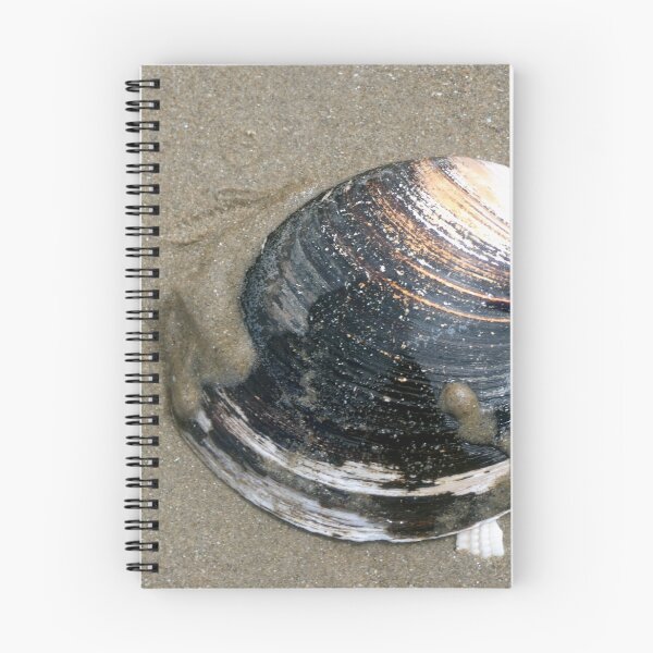Item preview, shell designed and sold by KathleenDawson.