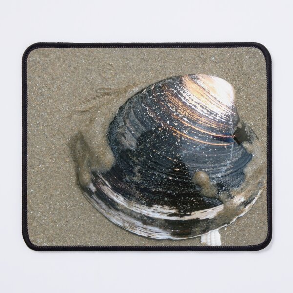 Item preview, shell designed and sold by KathleenDawson.