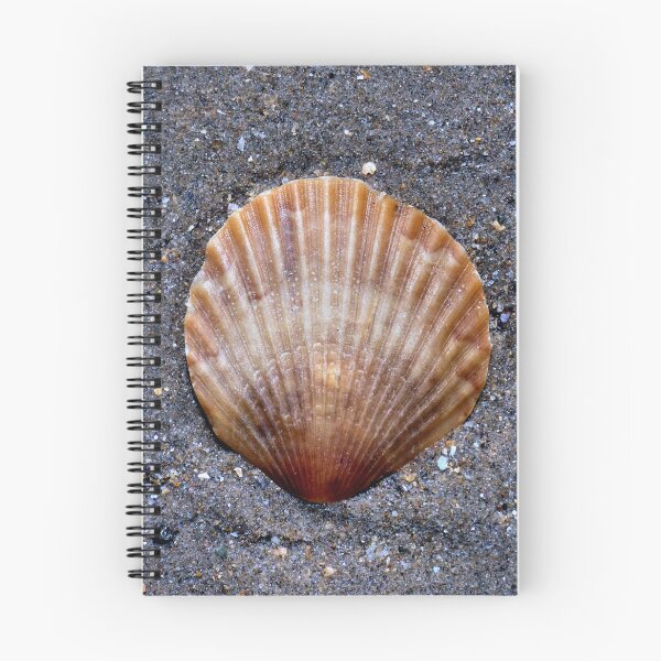 Item preview, shell designed and sold by KathleenDawson.