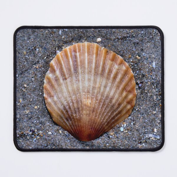Item preview, shell designed and sold by KathleenDawson.