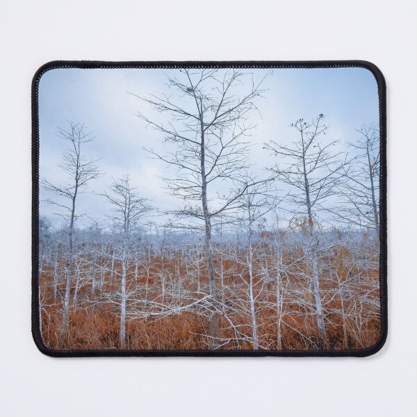 Item preview, landscape designed and sold by frpe.