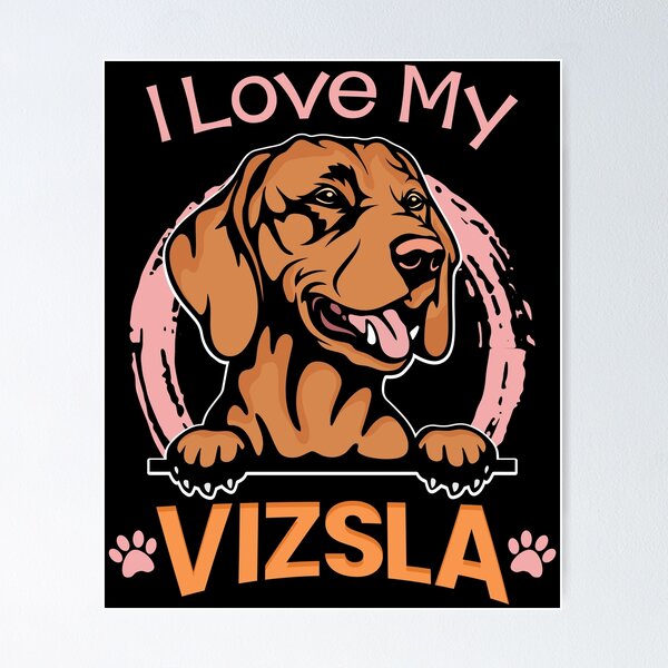 I love my store vizsla