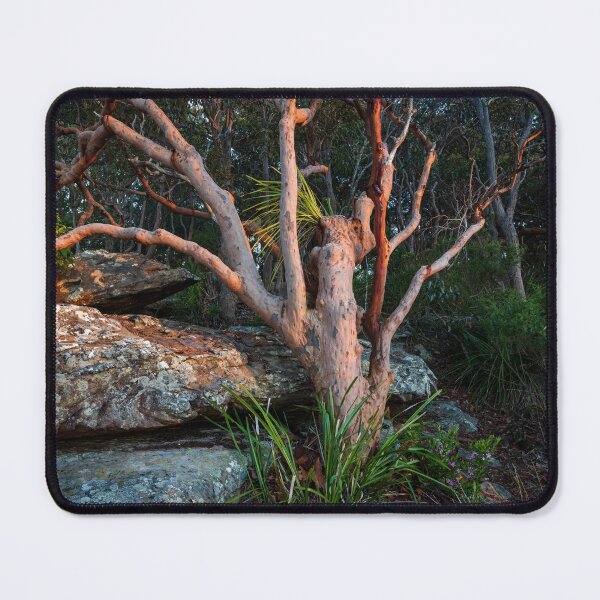Item preview, First Glow designed and sold by Geoff Wols.