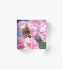Pinks and the papillon Acrylic Block