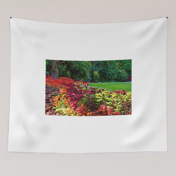 Item preview, In Stanley Park, Vancouver BC September 2011 4 designed and sold by Priscilla Turner.