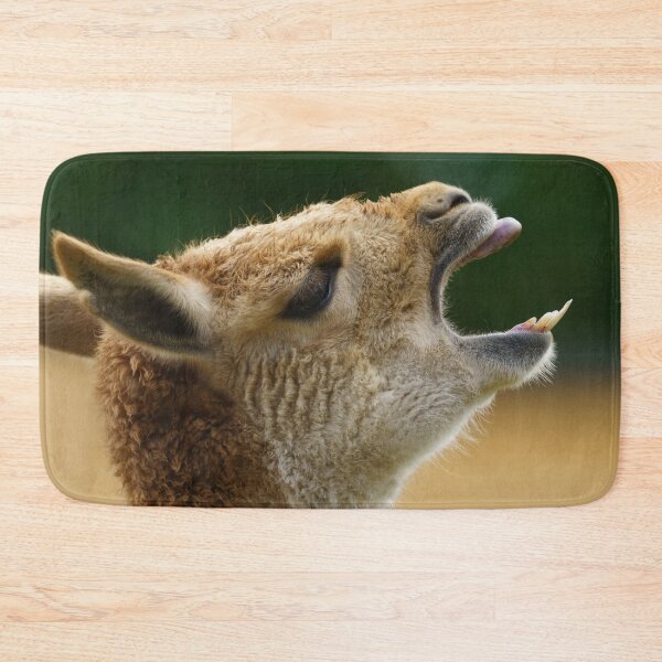 Item preview, Vicuna Showing His Teeth designed and sold by rawshutterbug.