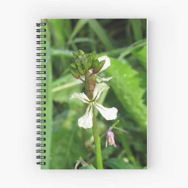 Item preview, Rocket flowers designed and sold by greentiger1.