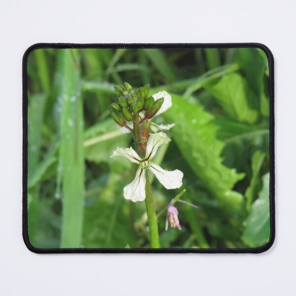 Item preview, Rocket flowers designed and sold by greentiger1.