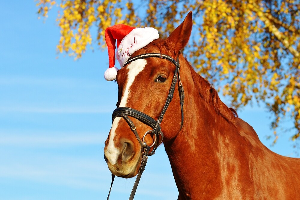 &quot;Funny Santa Hat Horse Christmas&quot; by Bubble-Designs | Redbubble