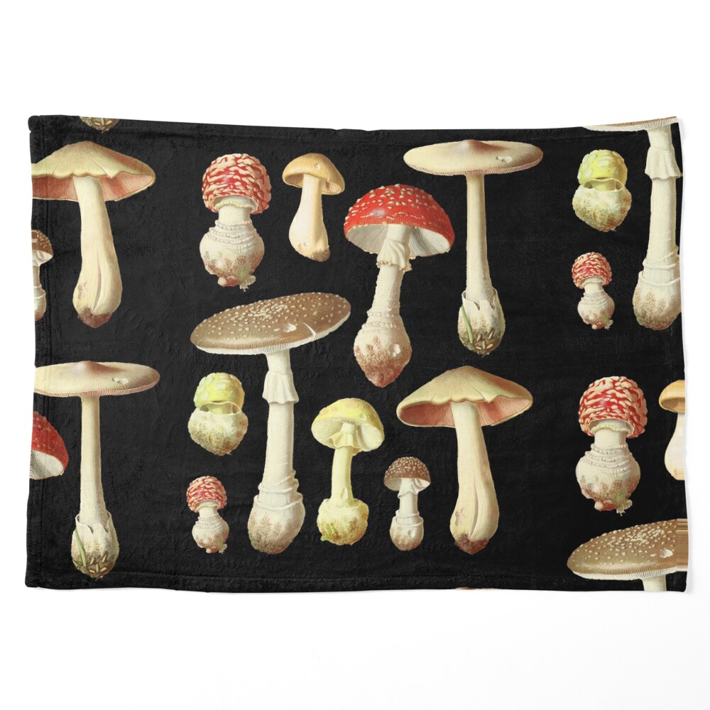 Mushroom Vintage Versatile Mountains and Forests Crystal PET Journal Tape -  AliExpress