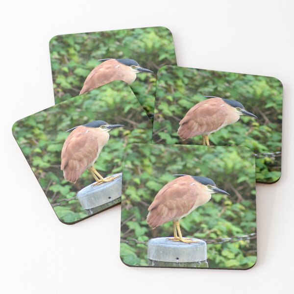 Item preview, Australian nankeen night heron designed and sold by FranWest.
