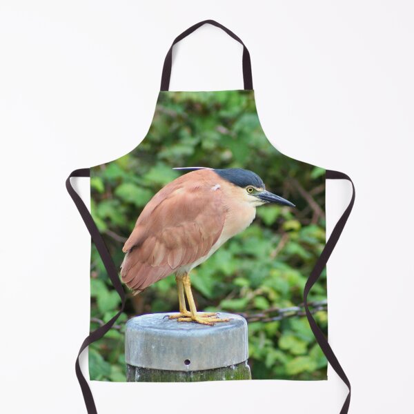 Item preview, Australian nankeen night heron designed and sold by FranWest.