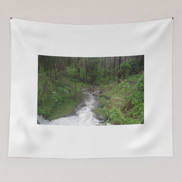 Artikelvorschau, Wald Stream entworfen und verkauft von lezvee.