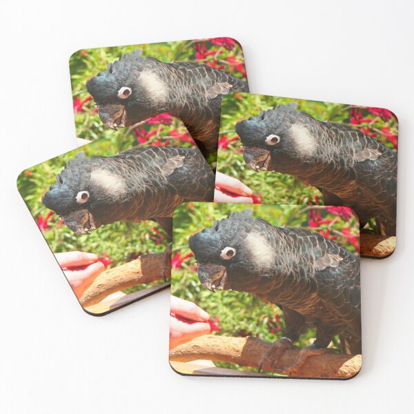 Item preview, Carnaby's black cockatoo designed and sold by FranWest.