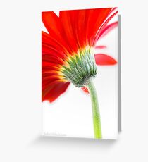 Firewoman Greeting Card