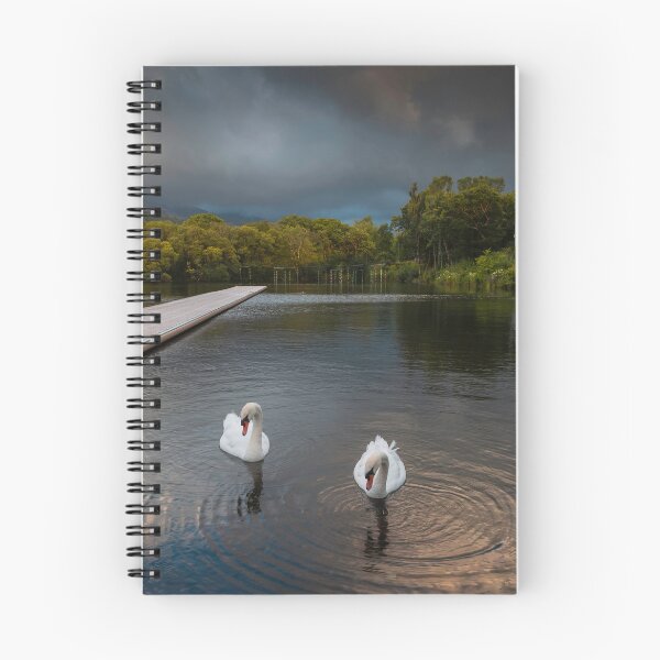 Item preview, Cisnes en LLyn Padarn designed and sold by Leighton Collins.