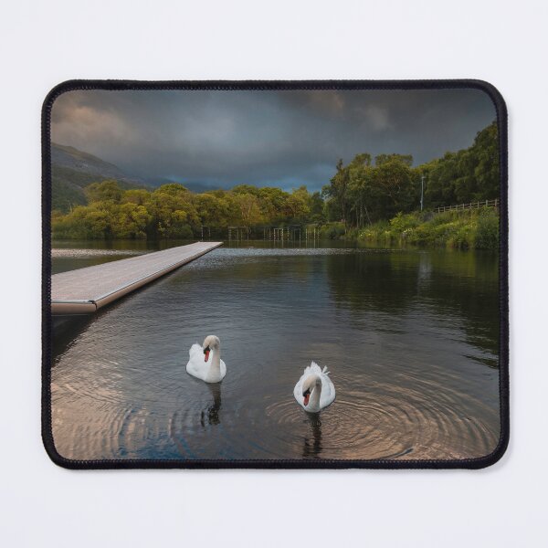 Item preview, Swans on LLyn Padarn designed and sold by Leighton Collins.